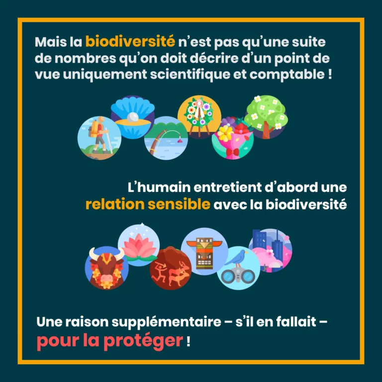 definition_biodiversite_10_humain.png