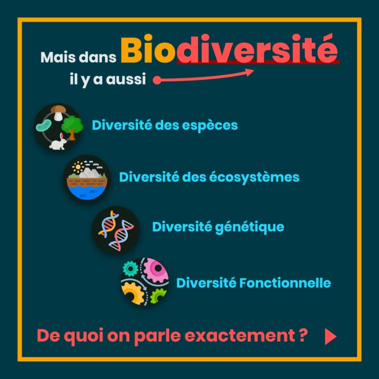 definition_biodiversite_4_diversites.png