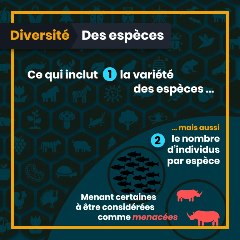 definition_biodiversite_5_eespeces.png