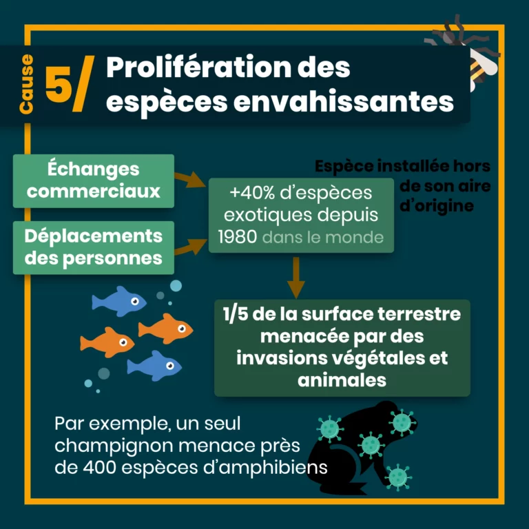 erosion_biodiversite_10.png