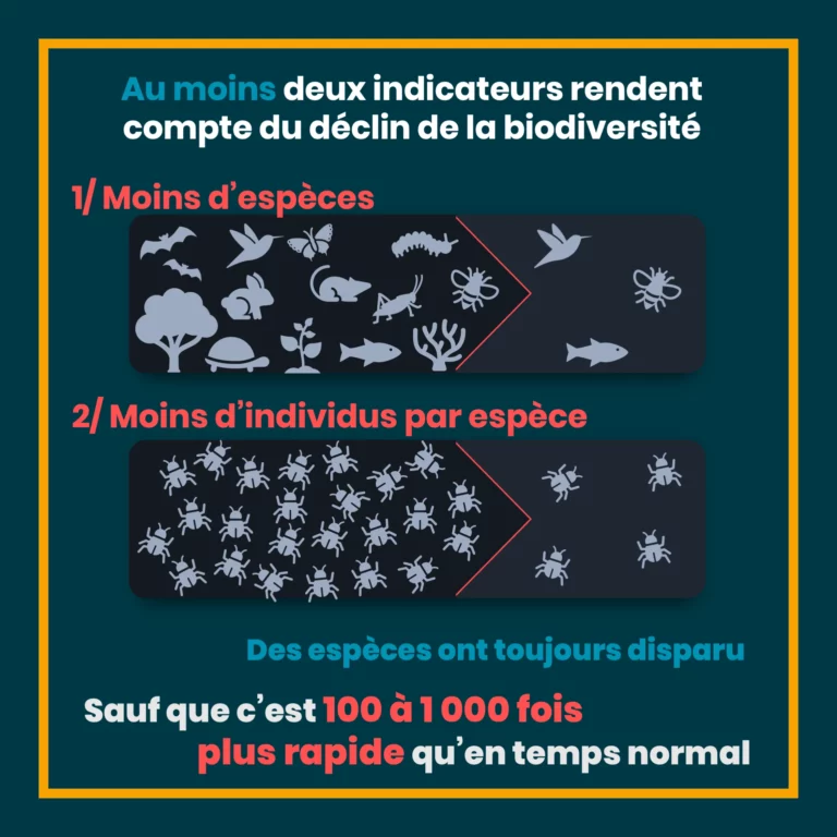 erosion_biodiversite_3.png
